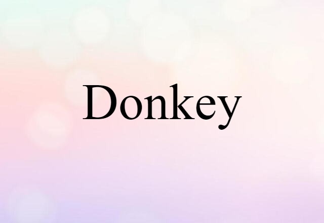 donkey