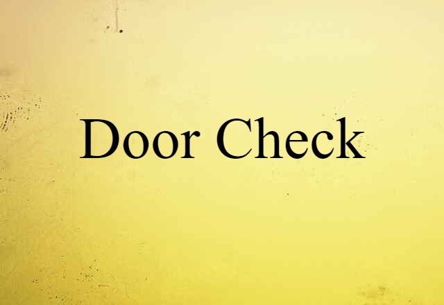 Door Check (noun) Definition, Meaning & Examples