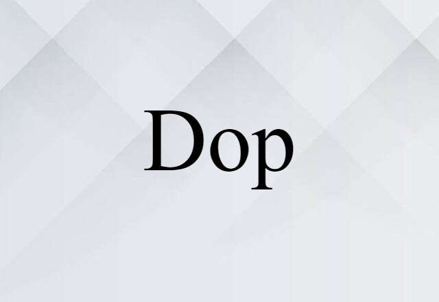 Dop (noun) Definition, Meaning & Examples