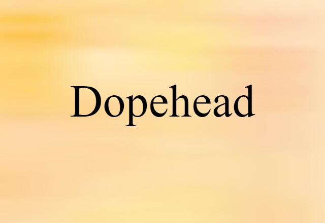 Dopehead (noun) Definition, Meaning & Examples