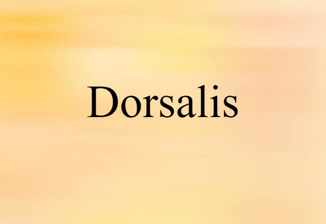 Dorsalis (noun) Definition, Meaning & Examples