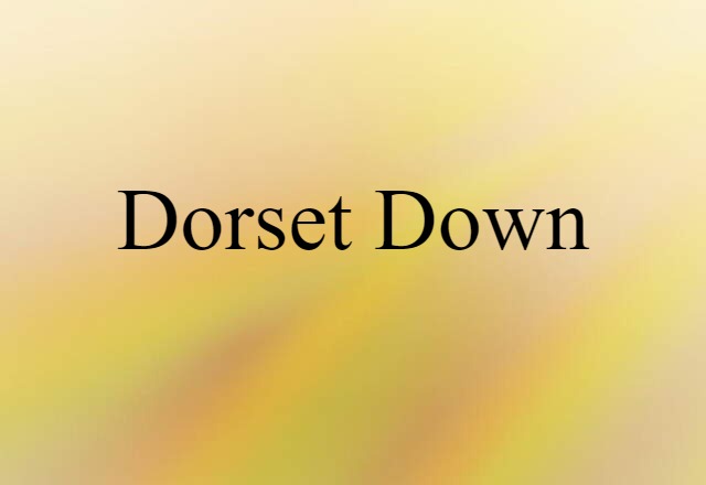 Dorset Down (noun) Definition, Meaning & Examples