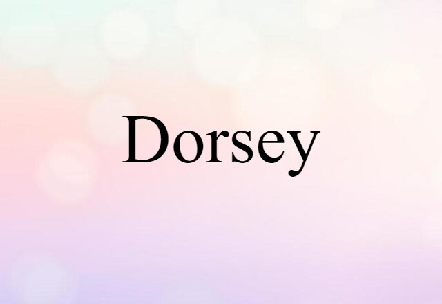 Dorsey (noun) Definition, Meaning & Examples