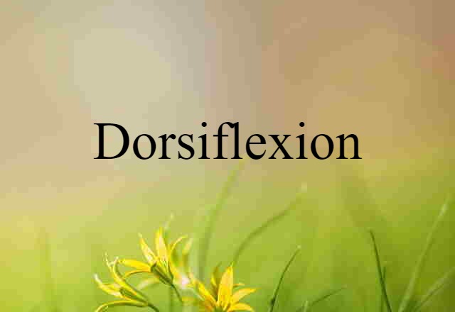 Dorsiflexion (noun) Definition, Meaning & Examples