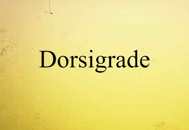 dorsigrade