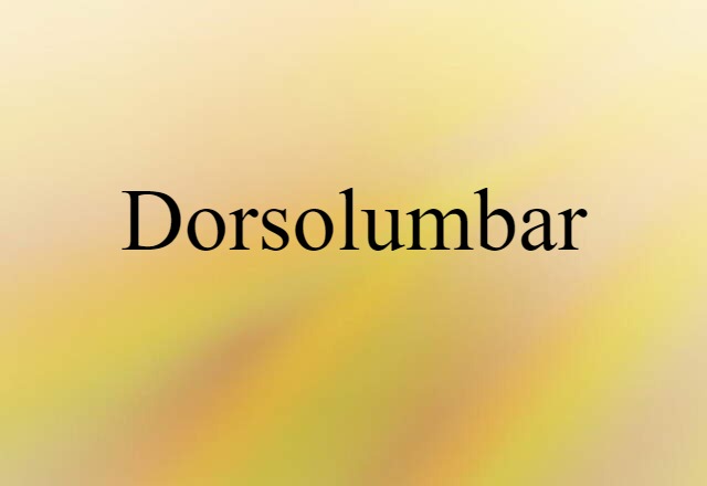 dorsolumbar