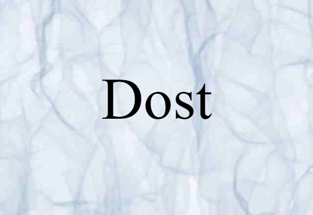 Dost (noun) Definition, Meaning & Examples