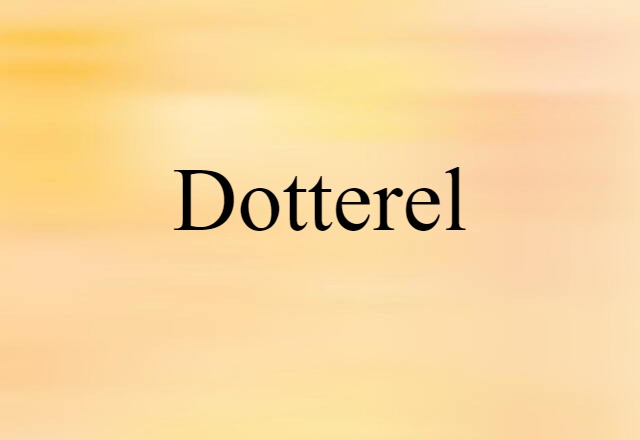 dotterel