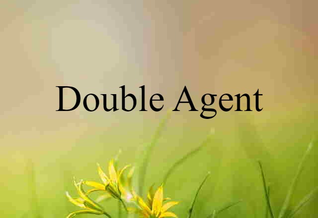 double agent