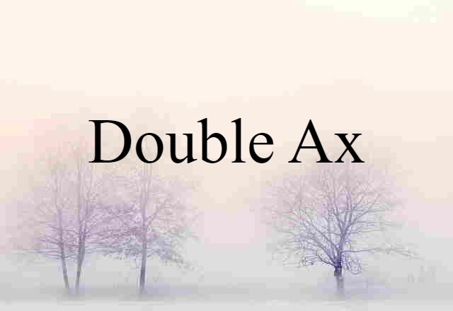 Double Ax (noun) Definition, Meaning & Examples