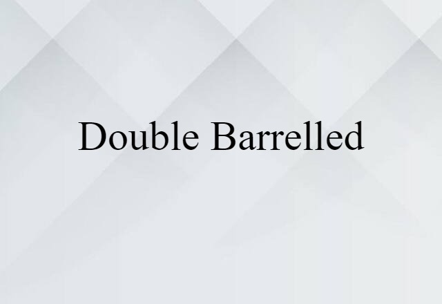 Double Barrelled (noun) Definition, Meaning & Examples