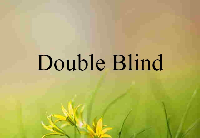 Double-blind (noun) Definition, Meaning & Examples