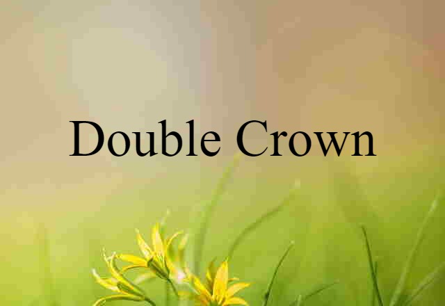 Double Crown (noun) Definition, Meaning & Examples