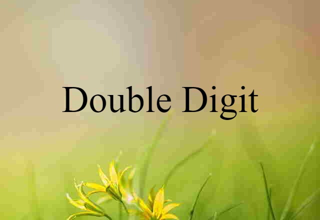 Double Digit (noun) Definition, Meaning & Examples