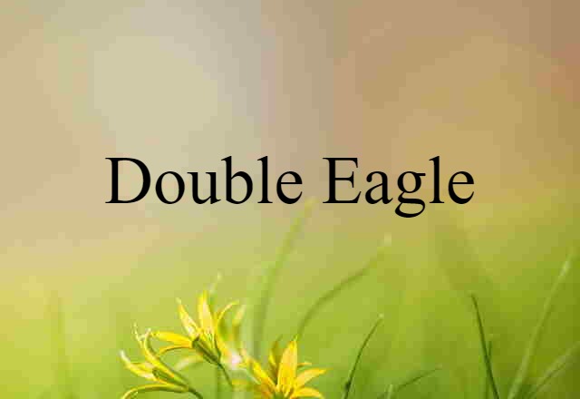 Double Eagle (noun) Definition, Meaning & Examples