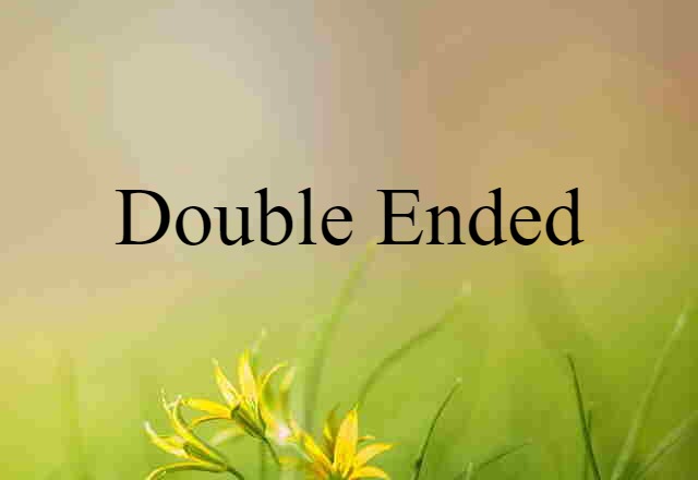 Double-ended (noun) Definition, Meaning & Examples