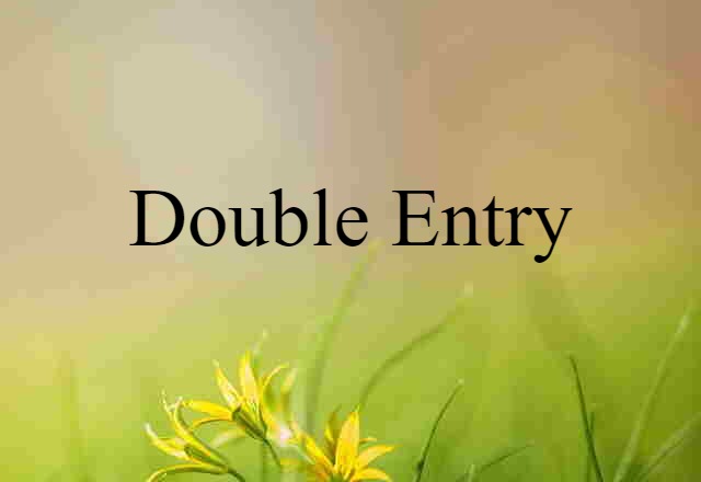 Double Entry (noun) Definition, Meaning & Examples