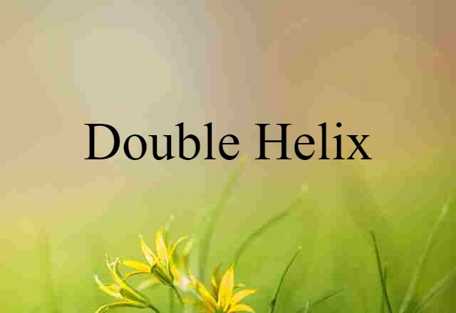 Double Helix (noun) Definition, Meaning & Examples