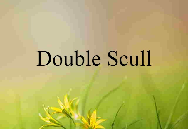 Double Scull (noun) Definition, Meaning & Examples