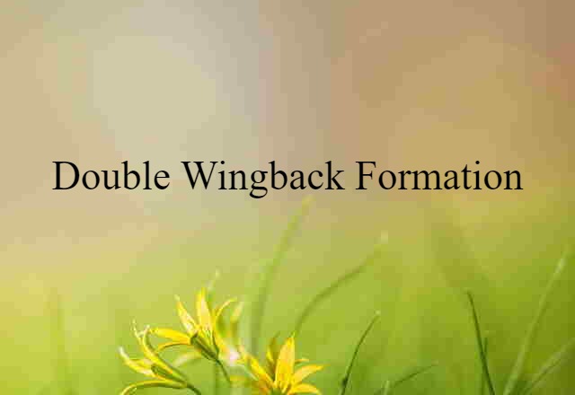 double wingback formation