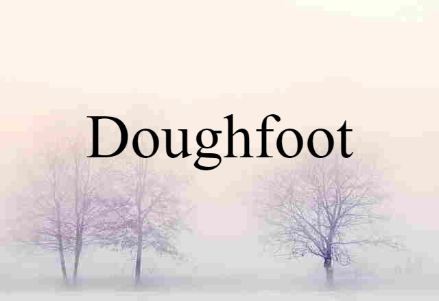 Doughfoot (noun) Definition, Meaning & Examples