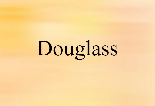 Douglass (noun) Definition, Meaning & Examples