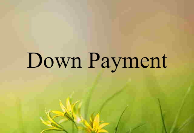 Down Payment (noun) Definition, Meaning & Examples