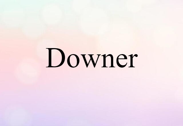 Downer (noun) Definition, Meaning & Examples