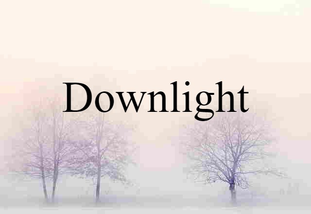 Downlight (noun) Definition, Meaning & Examples