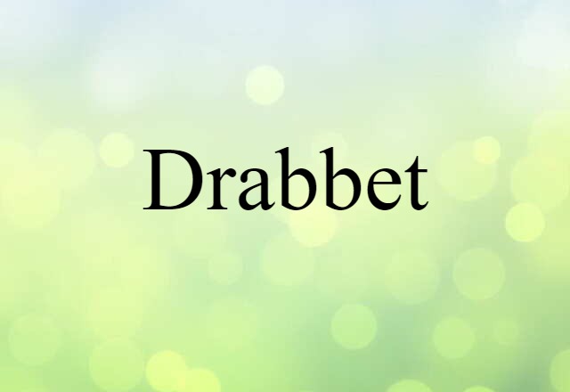 Drabbet (noun) Definition, Meaning & Examples