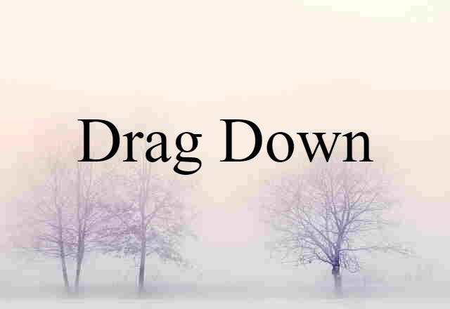 Drag Down (noun) Definition, Meaning & Examples