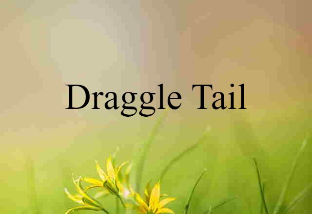 draggle tail