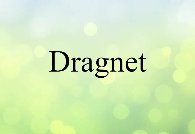 Dragnet (noun) Definition, Meaning & Examples