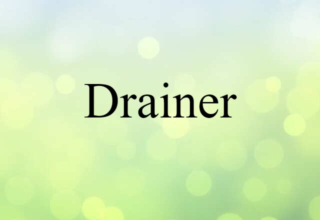 Drainer (noun) Definition, Meaning & Examples