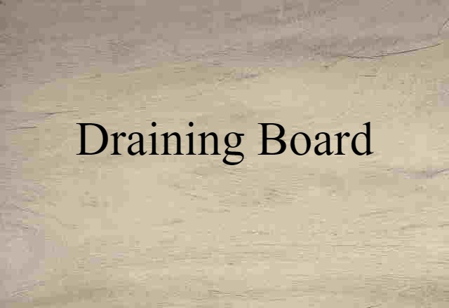 Draining Board (noun) Definition, Meaning & Examples