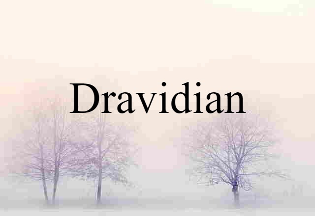 Dravidian (noun) Definition, Meaning & Examples