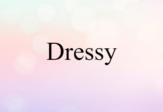 Dressy (noun) Definition, Meaning & Examples