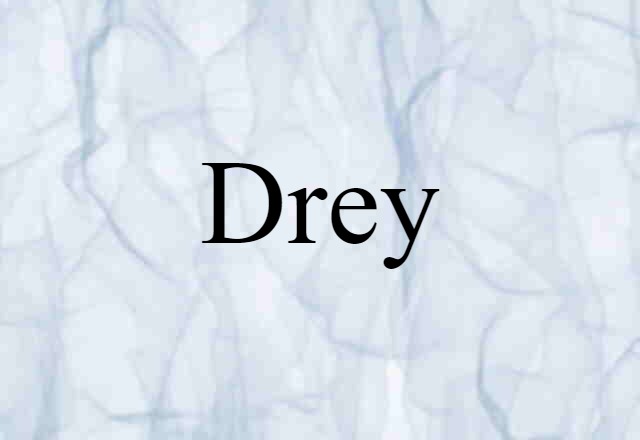 Drey (noun) Definition, Meaning & Examples