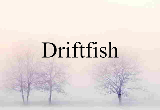 Driftfish (noun) Definition, Meaning & Examples