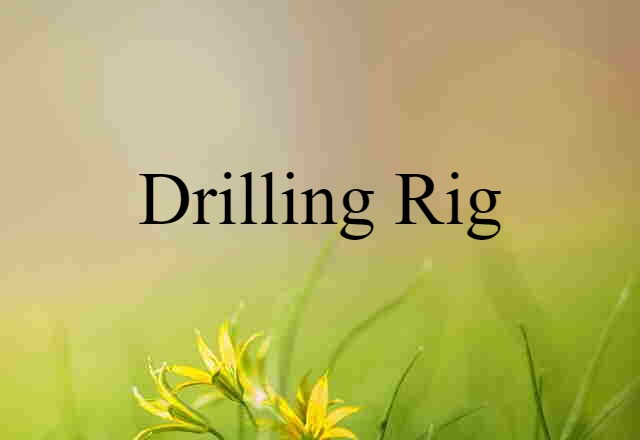 Drilling Rig (noun) Definition, Meaning & Examples