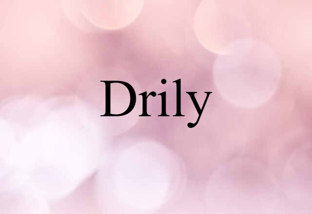 Drily (noun) Definition, Meaning & Examples