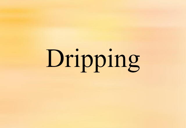 Dripping (noun) Definition, Meaning & Examples