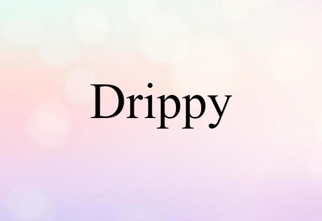 Drippy (noun) Definition, Meaning & Examples