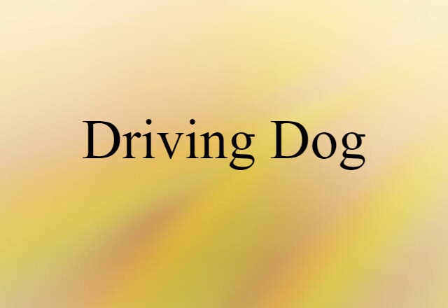 driving dog