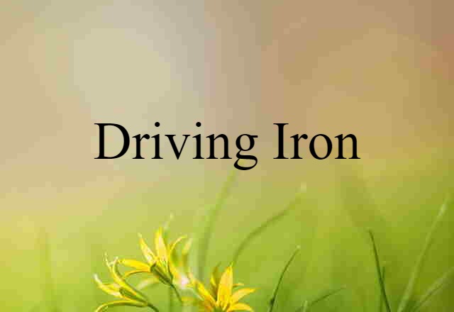 Driving Iron (noun) Definition, Meaning & Examples