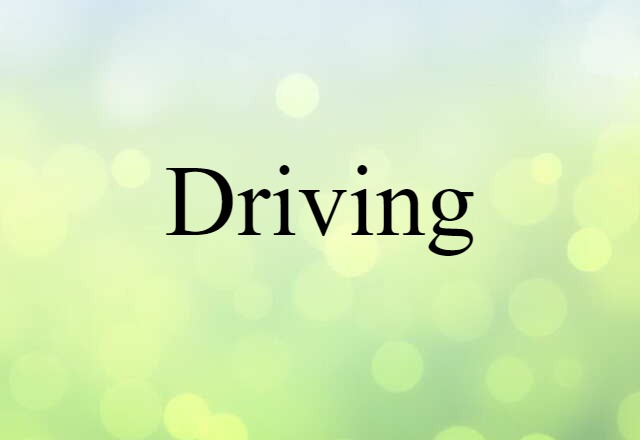 Driving (noun) Definition, Meaning & Examples