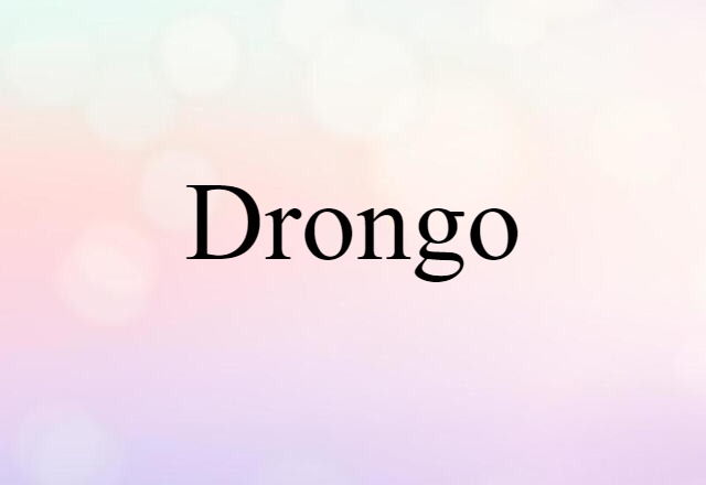 Drongo (noun) Definition, Meaning & Examples