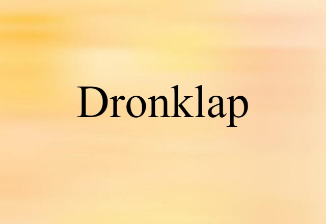 Dronklap (noun) Definition, Meaning & Examples