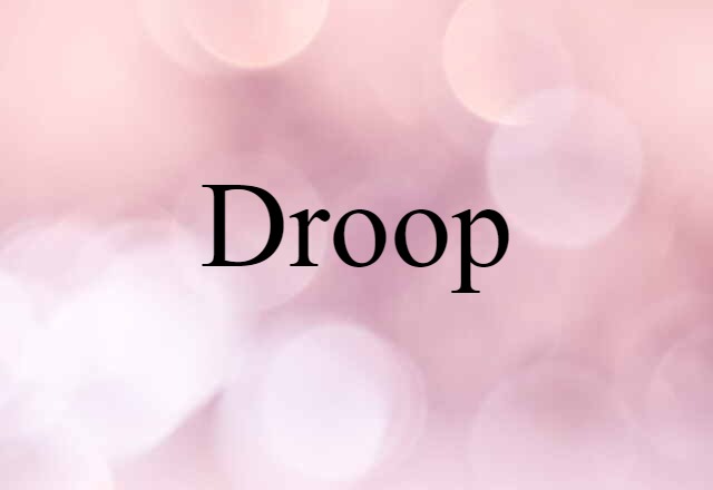 Droop (noun) Definition, Meaning & Examples