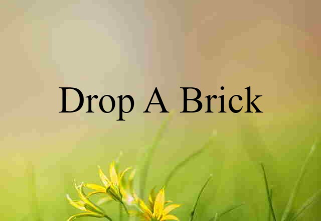 drop a brick